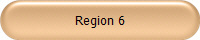 Region 6