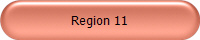 Region 11